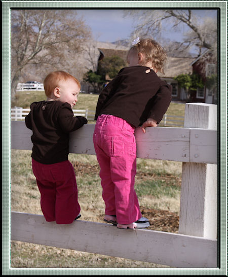 Makaylah and Lizzy-Rompin' Lil' Chinese Imperial Shih Tzu